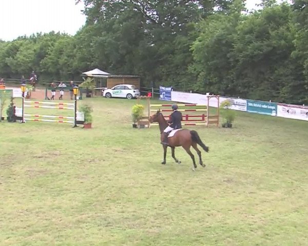 Reitturnier Tasdorf 2016