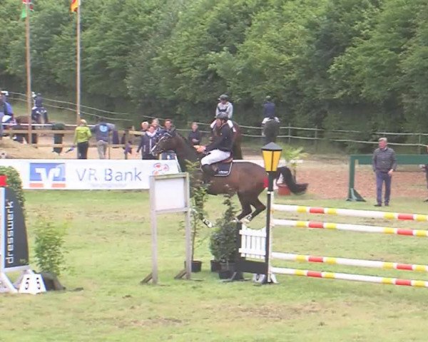 Reitturnier Tasdorf 2016