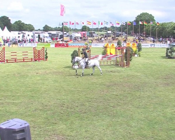 Reitturnier Tasdorf 2016