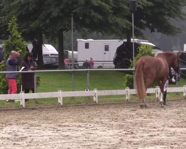 Coesfelder Reitertage 2016