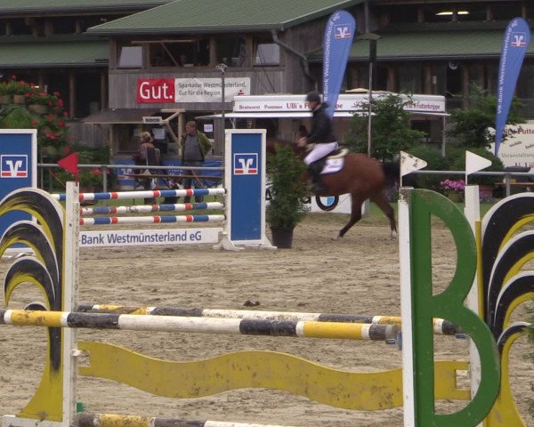 Coesfelder Reitertage 2016