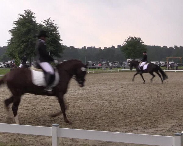Coesfelder Reitertage 2016