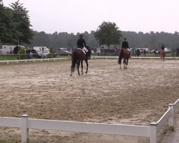 Coesfelder Reitertage 2016