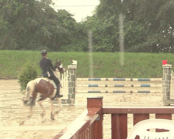 Reitturnier Fröndenberg 2016