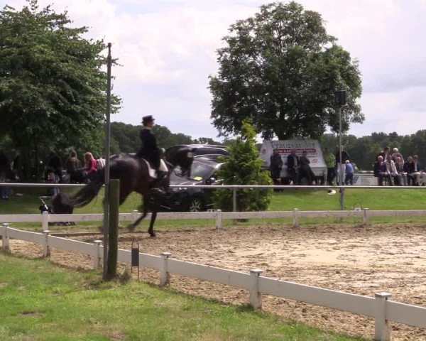 Coesfelder Reitertage 2016
