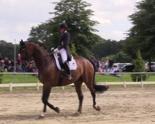 Coesfelder Reitertage 2016