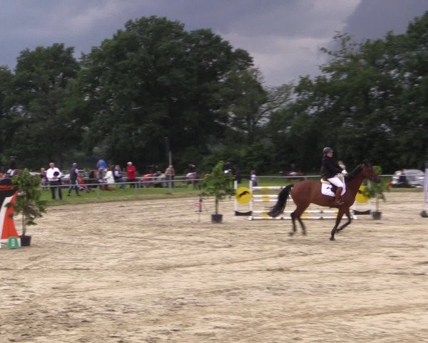 Coesfelder Reitertage 2016