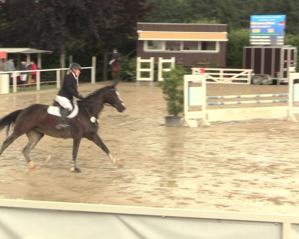 Reitturnier Fröndenberg 2016