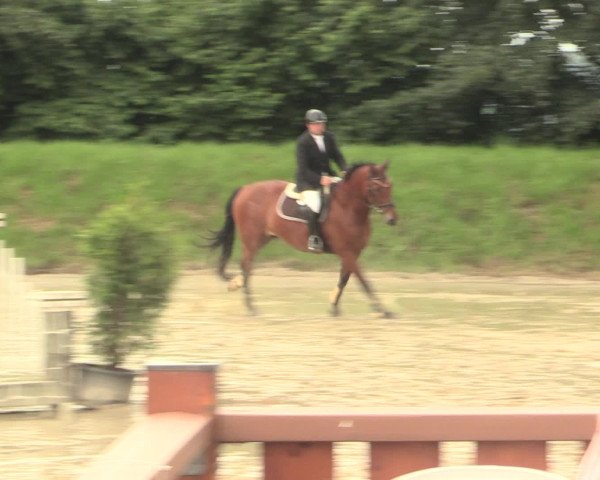 Reitturnier Fröndenberg 2016