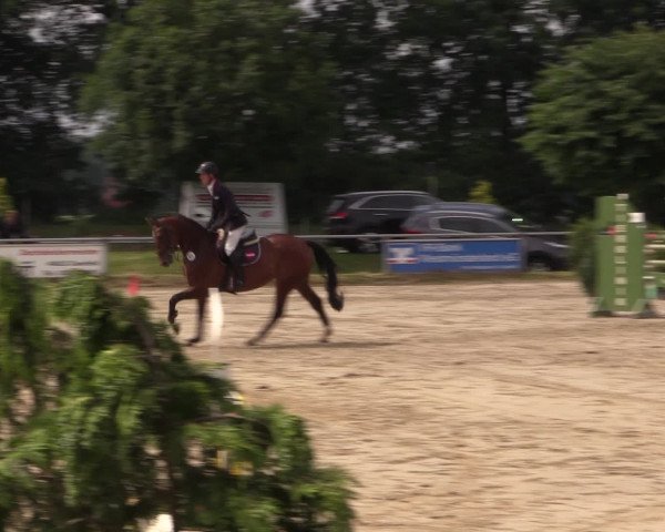 Coesfelder Reitertage 2016