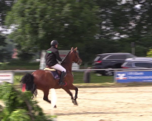 Coesfelder Reitertage 2016
