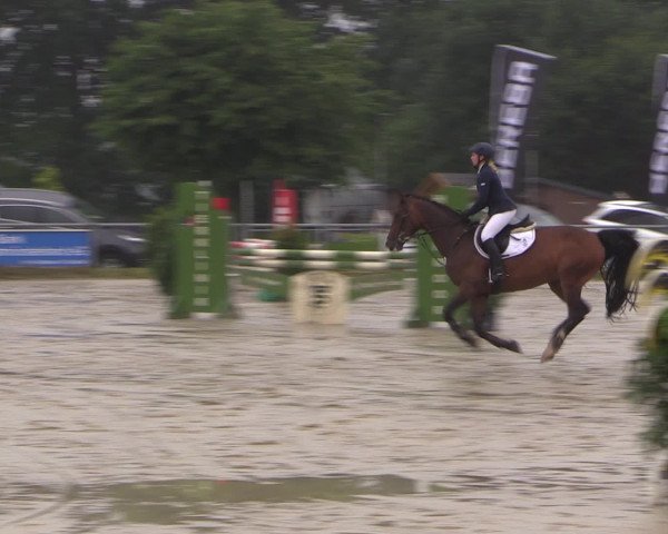 Coesfelder Reitertage 2016