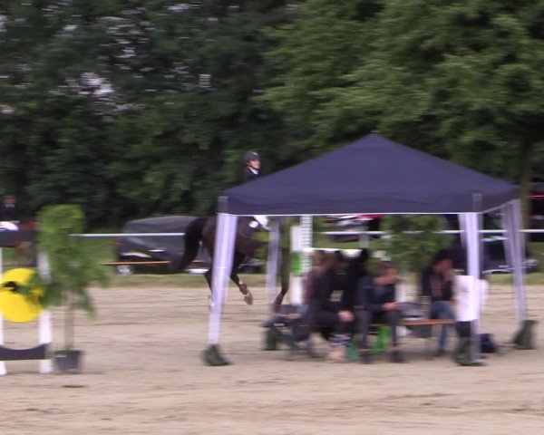 Coesfelder Reitertage 2016