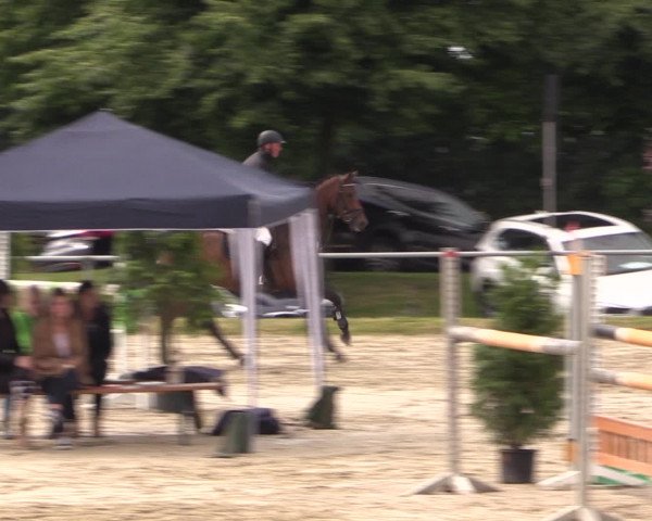 Coesfelder Reitertage 2016