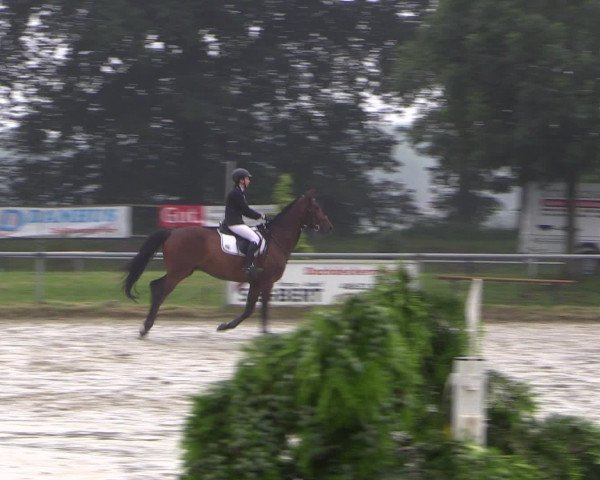 Coesfelder Reitertage 2016