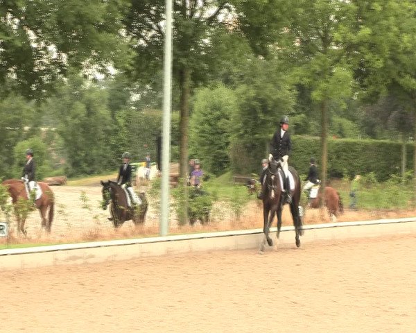 Reitturnier Fröndenberg 2016