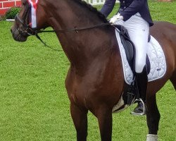 broodmare Fleur 422 (Rhinelander, 2006, from Flovino)