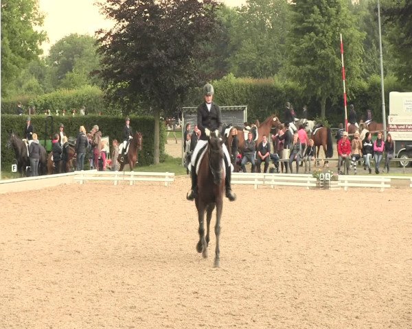 Reitturnier Fröndenberg 2016
