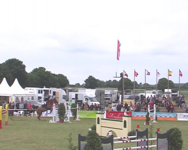 Reitturnier Tasdorf 2016