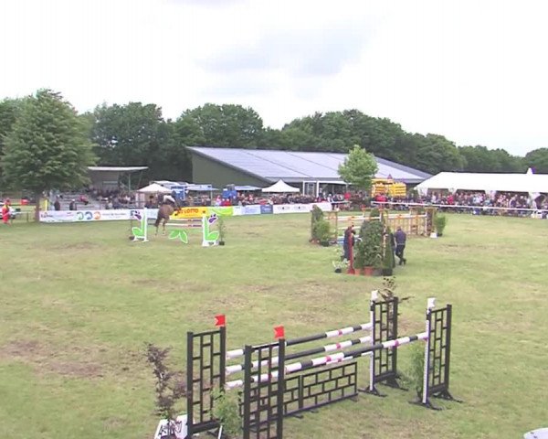 Reitturnier Tasdorf 2016