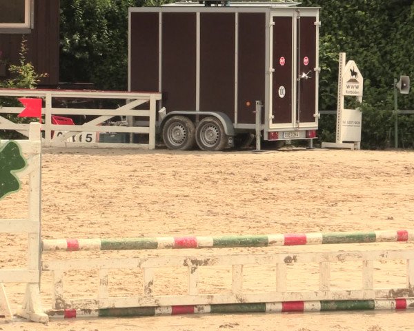 Reitturnier Fröndenberg 2016