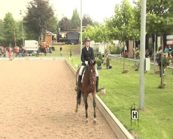 Reitturnier Fröndenberg 2016