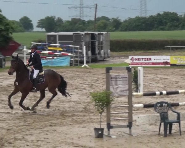 Heinsberger Dressur- und Springtage 2016