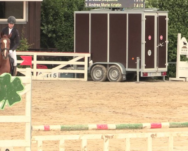 Reitturnier Fröndenberg 2016