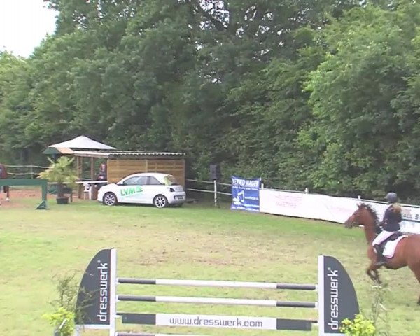 Reitturnier Tasdorf 2016