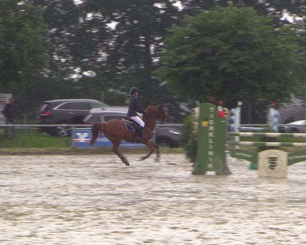 Coesfelder Reitertage 2016