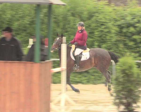 Reitturnier Fröndenberg 2016