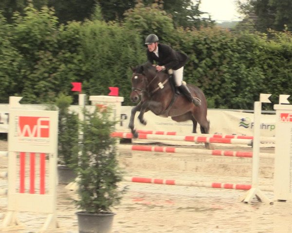 Reitturnier Fröndenberg 2016