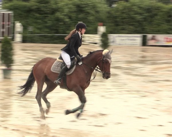 Reitturnier Fröndenberg 2016