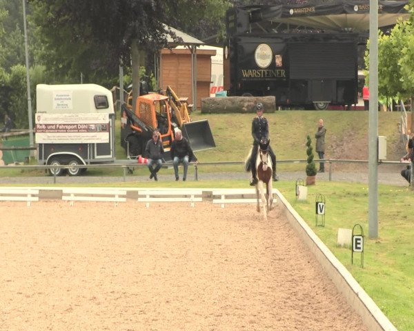 Reitturnier Fröndenberg 2016