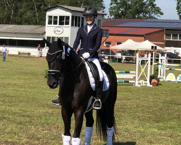 dressage horse Sirayama el Wahat (German Sport Horse, 2013, from Sommerhit)