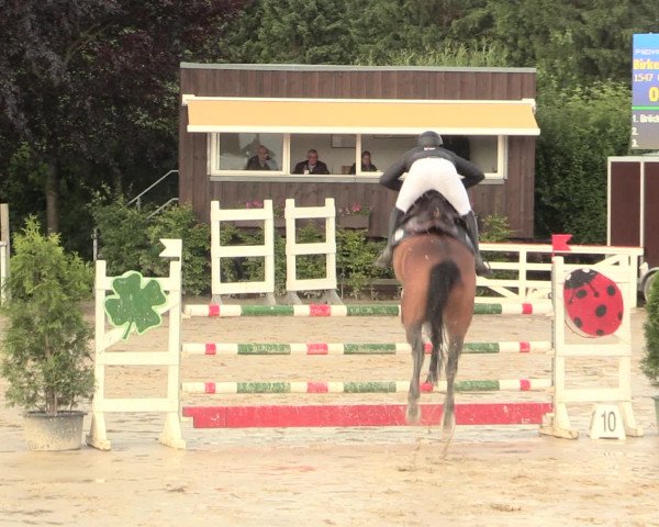 Reitturnier Fröndenberg 2016