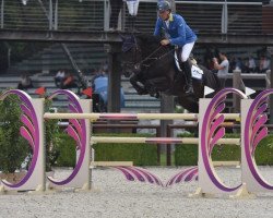 stallion Zampano Z (Zangersheide riding horse, 2011, from Zandor Z)