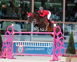 stallion Sea Coast Valdelamadre Clooney (Spanish Sport Horse, 2008, from Centauer Z)
