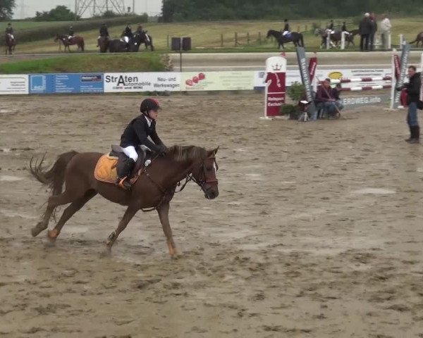 Heinsberger Dressur- und Springtage 2016