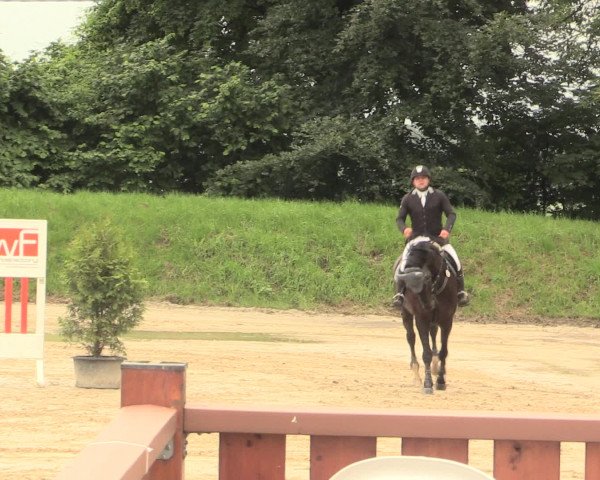 Reitturnier Fröndenberg 2016