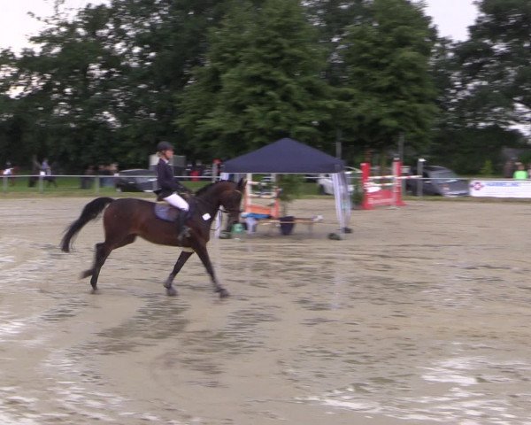 Coesfelder Reitertage 2016