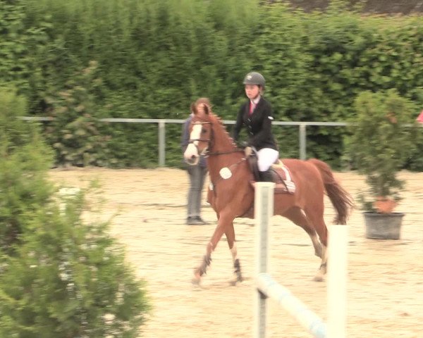 Reitturnier Fröndenberg 2016