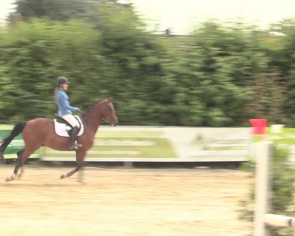 Reitturnier Fröndenberg 2016