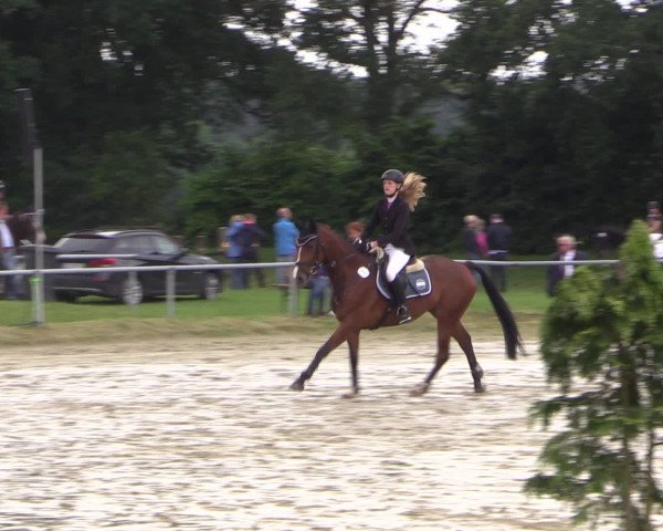 Coesfelder Reitertage 2016
