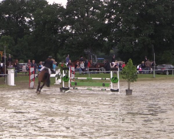 Coesfelder Reitertage 2016