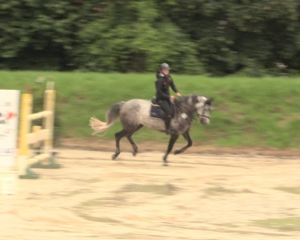 Reitturnier Fröndenberg 2016