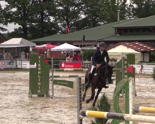 Coesfelder Reitertage 2016