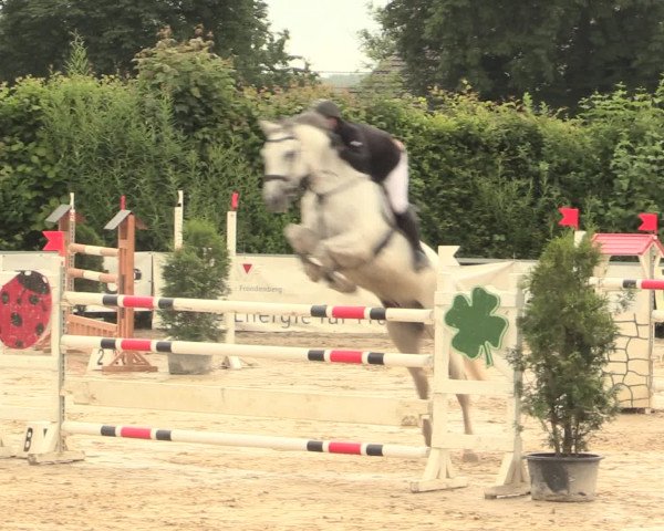 Reitturnier Fröndenberg 2016