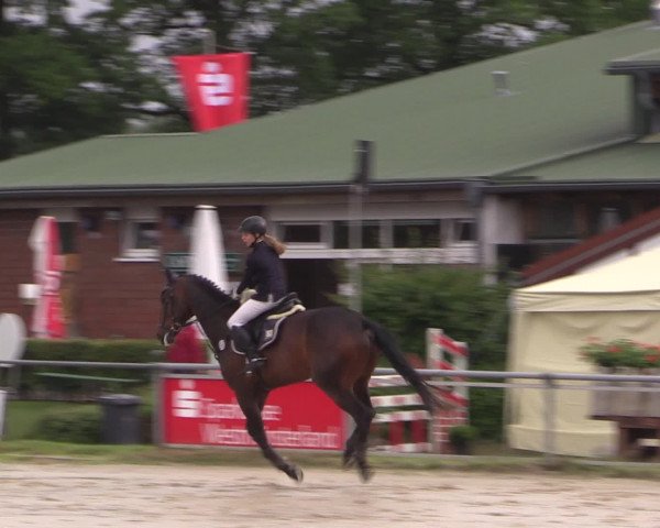 Coesfelder Reitertage 2016