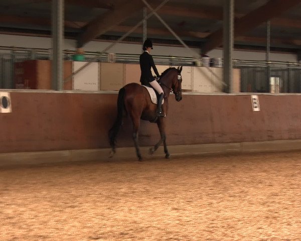 Reitturnier Fröndenberg 2016